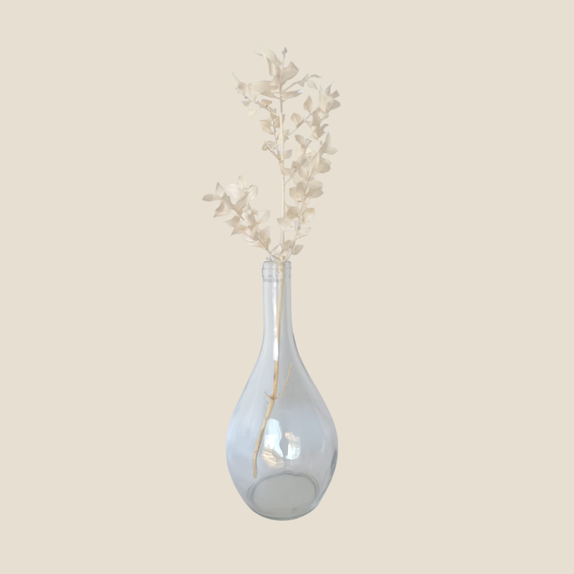 Vase Bottles 